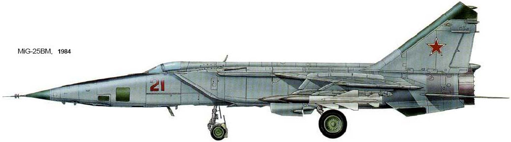 MIG-25 Foxbat (10)
