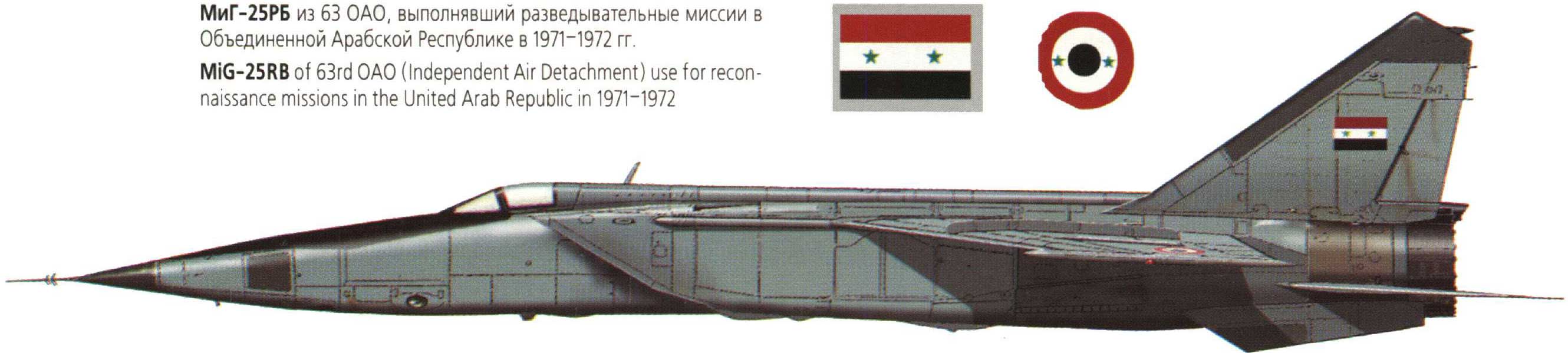 MIG-25 Foxbat (13)