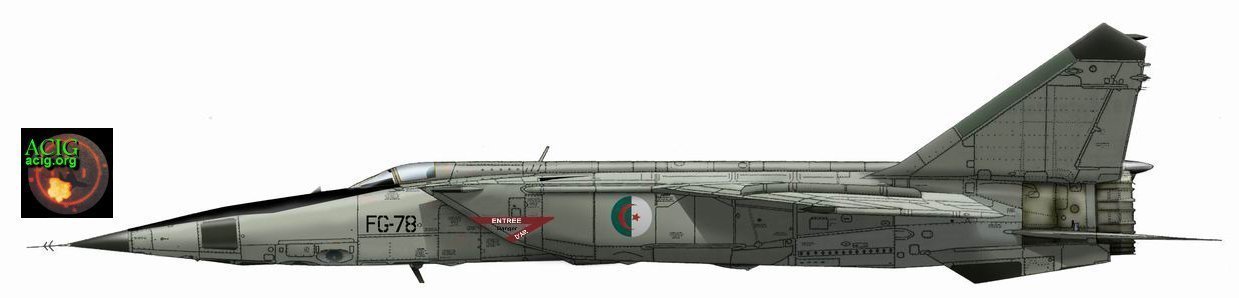 MIG-25 Foxbat (19)