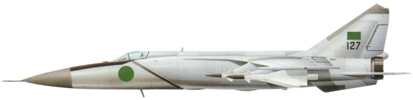 MIG-25 Foxbat (20)