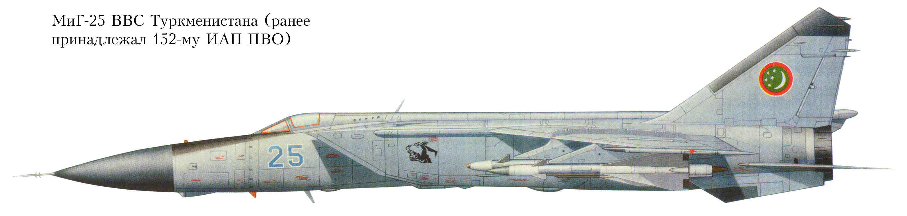 MIG-25 Foxbat (3)