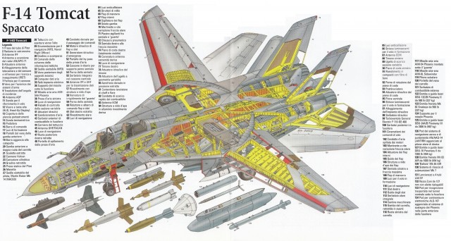 F-14D (2)