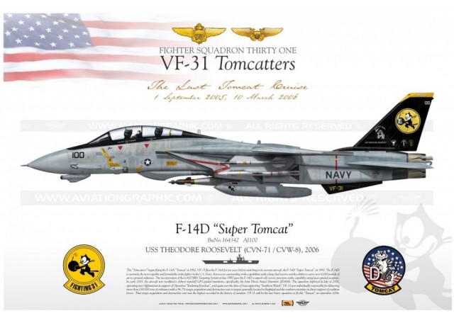 f-14d-tomcat-vf-31-tomcatters-dp-13